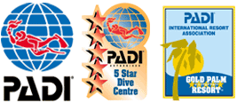 Sinai Dive Club